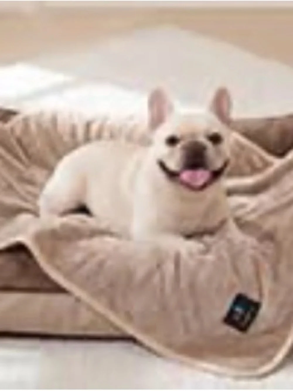 Luciphia Waterproof pet Blanket, Reversible Sherpa Fleece for Couch Cover